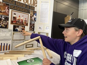 Ryan Janssen, 14, of London Christian elementary school tested the strength of four different kinds of wood glue for his science fair project. He made 90-degree brackets, securing the joint with the wood glue and clamping it for 30 minutes. He let each one set for 72 hours, clamped one end of a bracket in a vice and wood in a bucket with water until it broke. His experiment determined Gorilla Glue came out ahead. Photo taken on March 23, 2024. Jennifer Bieman/The London Free Press
