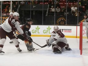 Zak Lavoie (29) scored a goal and added an assist to help lead the Brantford Bulldogs to a 7-2 win over the Peterborough Petes on Sunday at the civic centre.