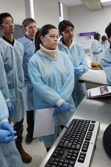 Medical students are shown during a gross anatomy lab class at the Schulich School of Medicine and Dentistry (Postmedia Network file photo)