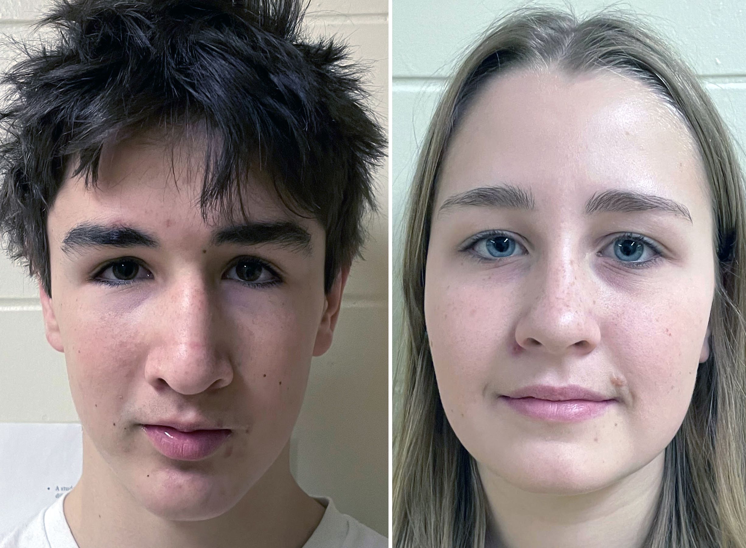 Niemi, Kirwan take flight with Hawks | Sudbury Star