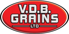 VDB Grains in Mitchell