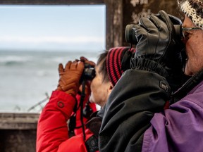 Fewer birds for 46th Annual Waterfowl Weekend Fewer birds for 46th Annual Waterfowl Weekend