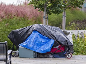 North Bay may consider a homeless hub; low barrier shelter should not be downtown - King