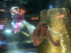 Aquatarium, mermaid