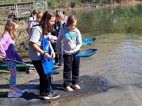 Chatham-Kent secondary school student Sydney Hawthorne, left, and Ridgetown St. Michael elementary school student Isabelle Beer, 9, inspect what she scooped up from the pond at C.M. Wilson Conservation Area in this Oct. 5, 2022 photo taken during the Chatham-Kent and Lambton Children's Water Festival. (File photo)