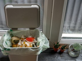 Stock photo of compostables in a bin