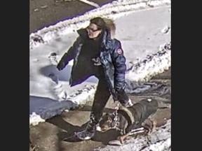 Toronto Police are looking for this woman and dog. A child suffered life-altering injuries after being attacked by a dog in a waterfront park. (Toronto Police handout)