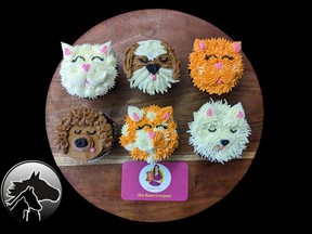 Pick your favourite animal, colour, and flavour Ð WhatÕs Up, Cupcake? is back for March and the money raised will help the Gananoque and District Humane Society. supplied by Gananoque and District Humane Society