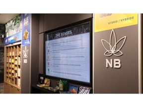 cannabis nb