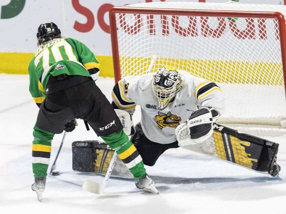 Sting thumped by Knights in fourth straight loss The Sarnia Observer