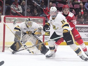Sarnia Sting's Tyler O'Toole (28) battles Soo Greyhounds' Travis Hayes (13) in front of Sting goalie Nick Surzycia at GFL Memorial Gardens in Sault Ste. Marie, Ont., on Wednesday, March 20, 2024. Gordon Anderson/Sault Star/Postmedia Network