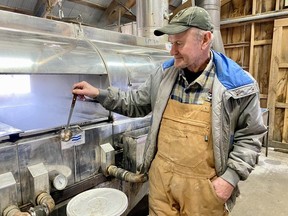 John Aarts of McCully's Hill Farm in St. Marys checks on the maple syrup during a tour of the farm on Sunday. (Cory Smith/Beacon Herald)