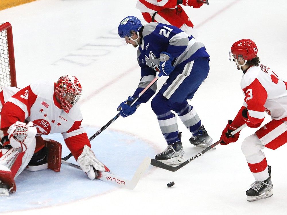 Sudbury Wolves, OHL announce 202425 preseason schedule Sudbury Star