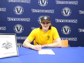 Liam Norman, of the Sudbury Voyageurs, has signed a letter of intent to play baseball for Dordt University in Iowa.