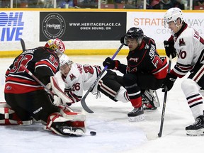 Jake Karabela looks to pounce on a rebound as Max Namestnikov falls to the ice. Taos Jordan and Carter George look on for Owen Sound as the Owen Sound Attack host the Guelph Storm inside the Harry Lumley Bayshore Community Centre on Saturday, March 23, 2024. Greg Cowan/The Sun Times