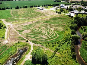 Aerial view of the farm.
