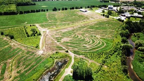 Aerial view of the farm.