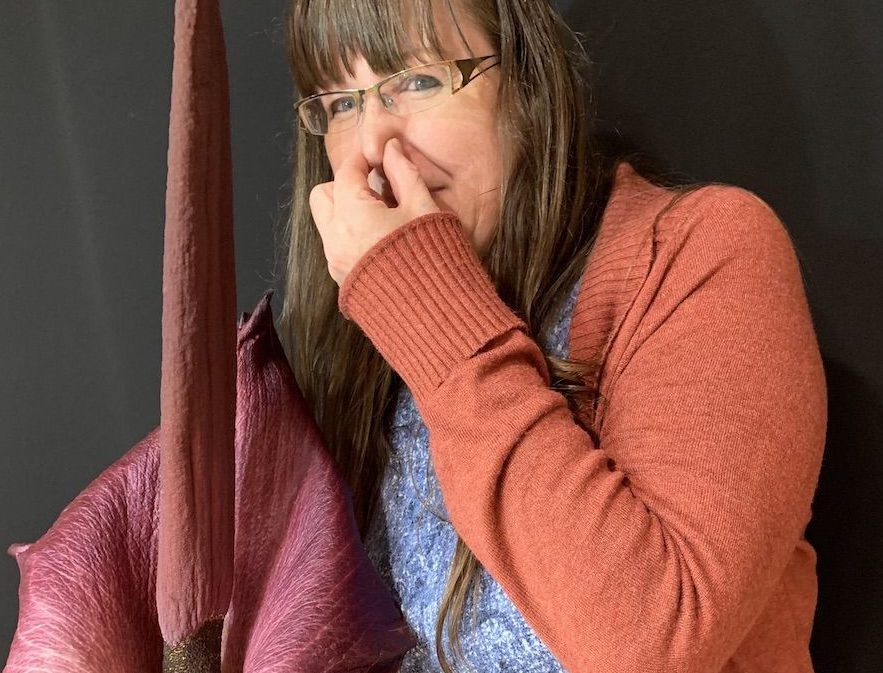 Giant flower overpowers Val Caron home with ‘wonderful’ aroma Northern News