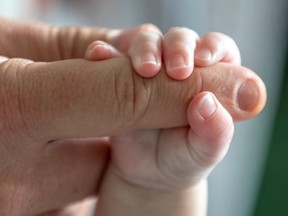 ‘Gaps’ in NICU education driven by ‘significant’ number of ‘novice’ nurses, Sault Area Hospital says