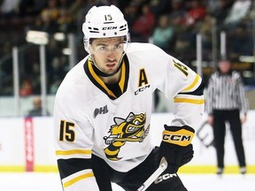 Sarnia Sting's Marko Sikic plays against the Soo Greyhounds at Progressive Auto Sales Arena in Sarnia, Ont., on Friday, Oct. 6, 2023. Sikic has been playing physically and hitting hard since joining the ECHL’s Newfoundland Growlers last week. (Mark Malone/Postmedia Network)