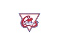 Cornwall Colts logo