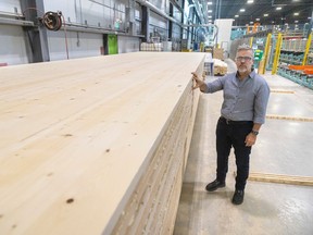 Patrick Poulon, the CEO of Element5 in St. Thomas shows how their Cross Laminated Timber is made of glued wood at 90 degree angles, glued into large slabs up to 16 metres by 3 metres. Poulon says the large slabs function in the same way as precast concrete is used in apartment buildings. Poulon's company which has a factory of 140,000 sq feet and employs 130 people is doubling in size to over 350,000 sq feet and eventually employing more than 300 people. Photograph taken on Monday April 15, 2024. (Mike Hensen/The London Free Press)