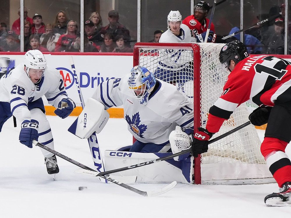 Senators Out-skate Marlies To Earn Franchise's First Calder Cup Playoff ...