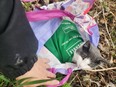 A one-year-old male cat was discovered tied into two reusable grocery bags last Sunday by a man jogging on Mile Hill Road in Paris.
