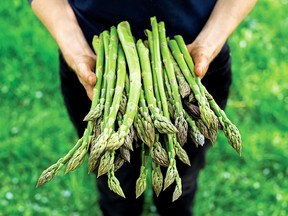 Asparagus, Kim Cooper, Food for thought