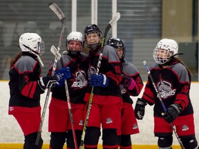 Ecole secondaire catholique Champlain won gold at a girls hockey tournament hosted by the York Catholic District School Board in Vaughan, Ont. recently.