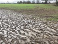 Stock photo of a wet farm field