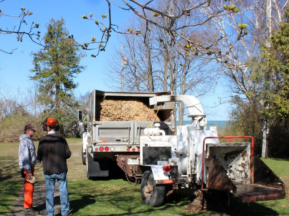 Trail Talk: Chippin' away | Goderich Signal Star