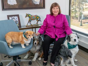 Linda Southern-Heathcott with her three dogs