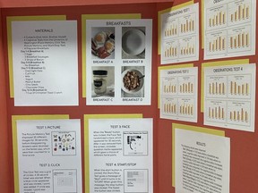 National Science Fair