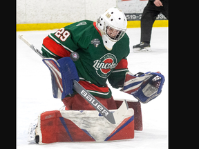 St. Marys Lincolns goalie Brandon Abbott makes a save during a GOJHL Jr. B playoff game against the Strathroy Rockets at the West Middlesex Memorial arena in Strathroy on Tuesday March 26, 2024. Derek Ruttan/The London Free Press
