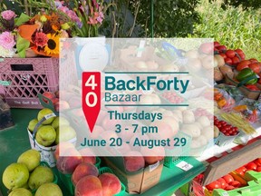 back forty bazaar