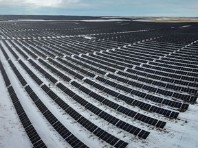 File photo: A whole lot of solar panels at the Travers Solar Project west of Lomond, Ab., on Tuesday, November 22, 2022.