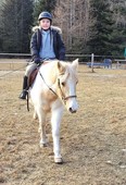 Equine Assisted Learning at Tamarack Farms near Espanola