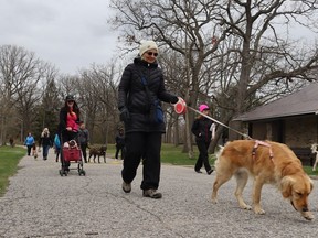 A group dog walk sets out Saturday in Sarnia's Canatara Park. The regular free public events are organized by Happy Dance Dog Walking and Training.