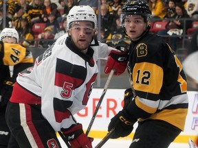 Ottawa 67's Bradley Horner, left, and Brantford Bulldogs' Owen Protz track the puck Saturday in Game 5 of their OHL playoff series in Brantford.