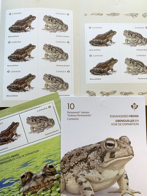 Two new Canada Post stamps raise awareness of endangered frogs
