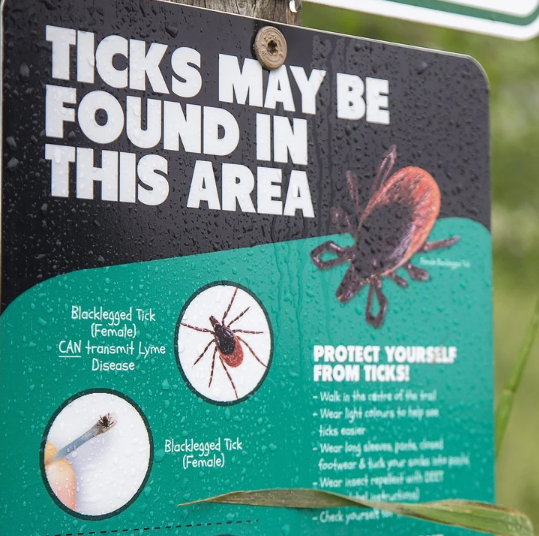 The return of the ticks | The Graphic Leader