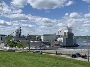 Pulp and paper mill