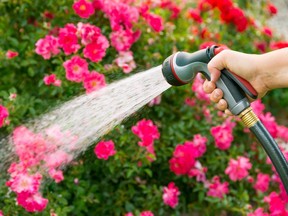 As of May 1, Oxford residents and businesses will be limited to using their sprinklers or hoses to water their lawns and gardens every other day.