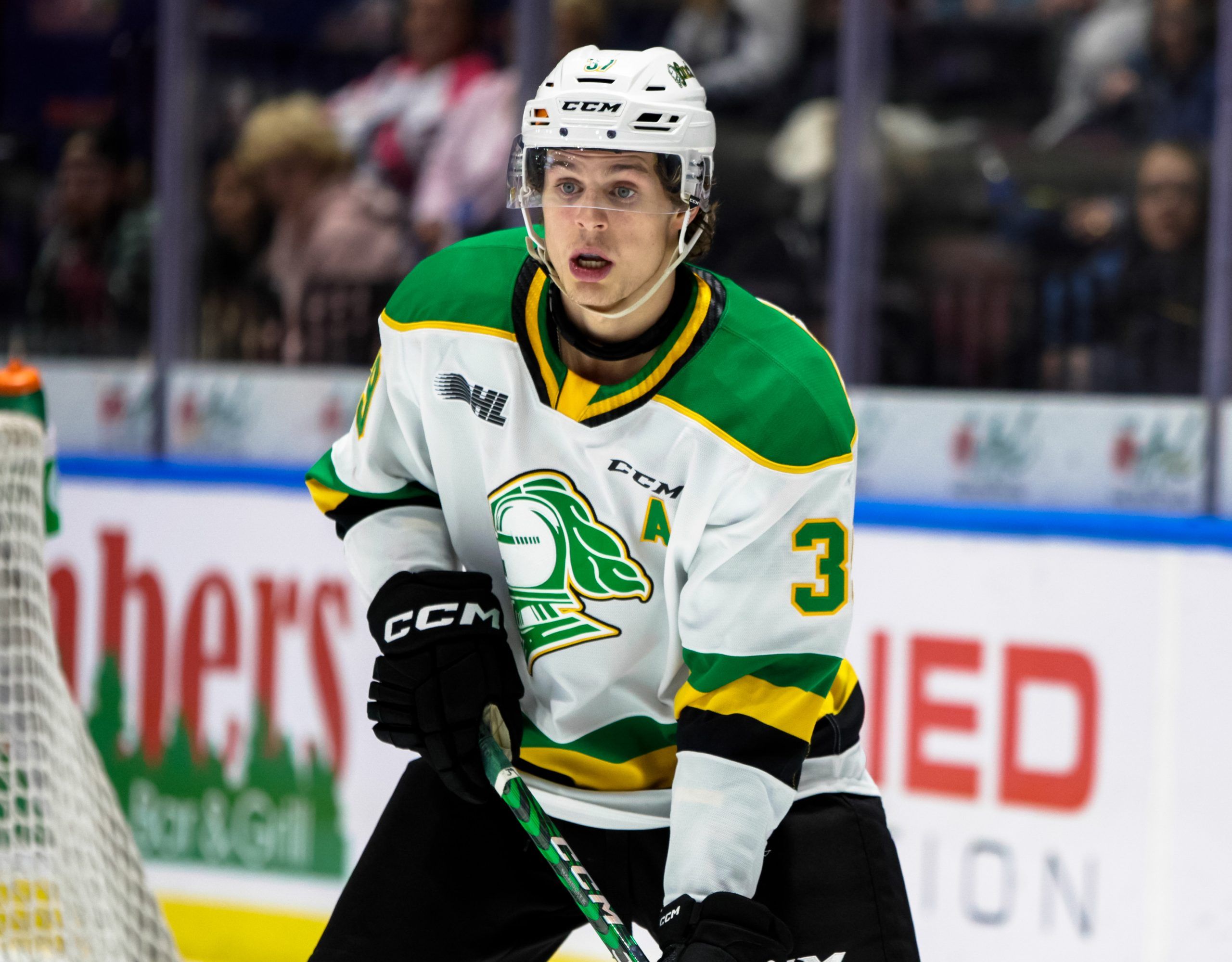 Sudbury’s Mccue, London Knights Cap Dominant Run To Ohl Championship 