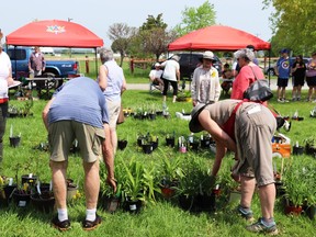 Be sure to come early and have an idea of what you want. Even with 3,232 plants the sale is very popular and can be sold out pretty quickly. The LAFR Haul of a Good Time Plant Sale will be held rain or shine on Saturday, May 18 at the Lansdowne Fairgrounds from 8 a.m. until 2 p.m. Lorraine Payette/for Postmedia Network
