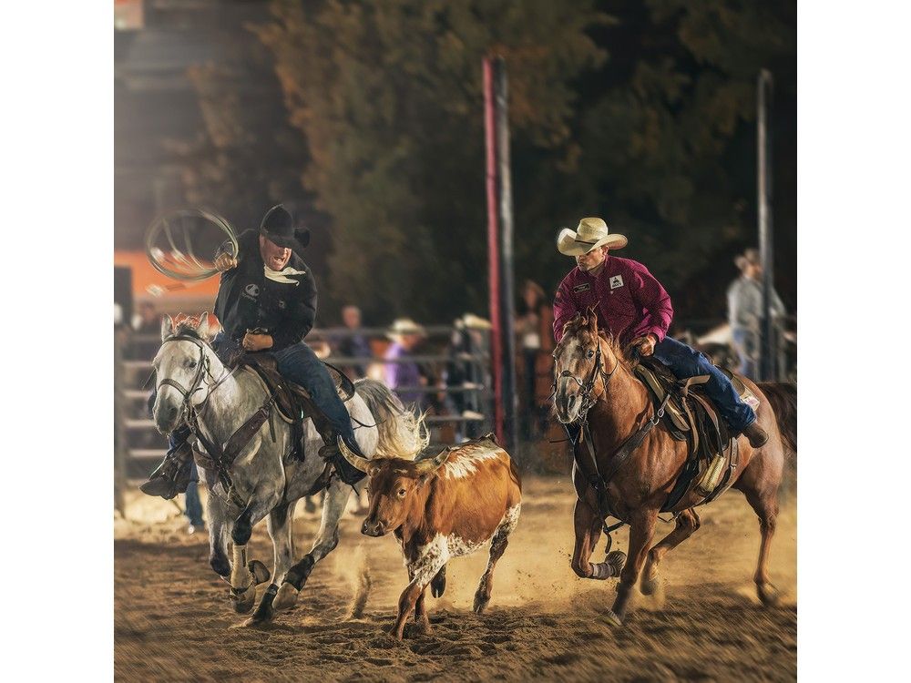 Black Creek Rodeo coming to Lansdowne | Gananoque Reporter