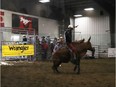 Jhett Wheeler placed first in the junior bull riding