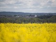 The Mayerthorpe RCMP and RCMP Livestock Investigations Unit investigated a complaint of fraud against the Canadian Canola Growers Association