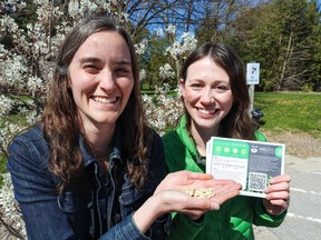 From left, Vanitia Campbell and Adrianne Lebert, public services coordinators with the Lambton County Library, present this year's One Seed Lambton selection, dark green zucchini.